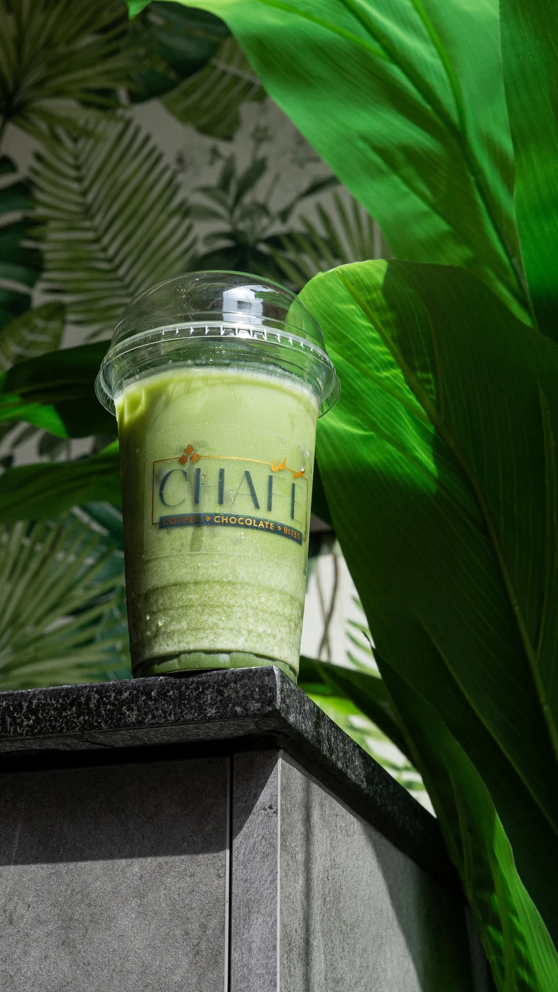 An iced matcha among palm leaves